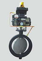 Double Dump Valve Assembly - 9